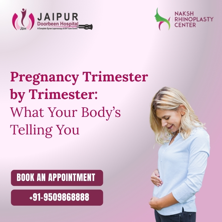 Pregnancy Trimester by Trimester: What Your Body’s Telling You